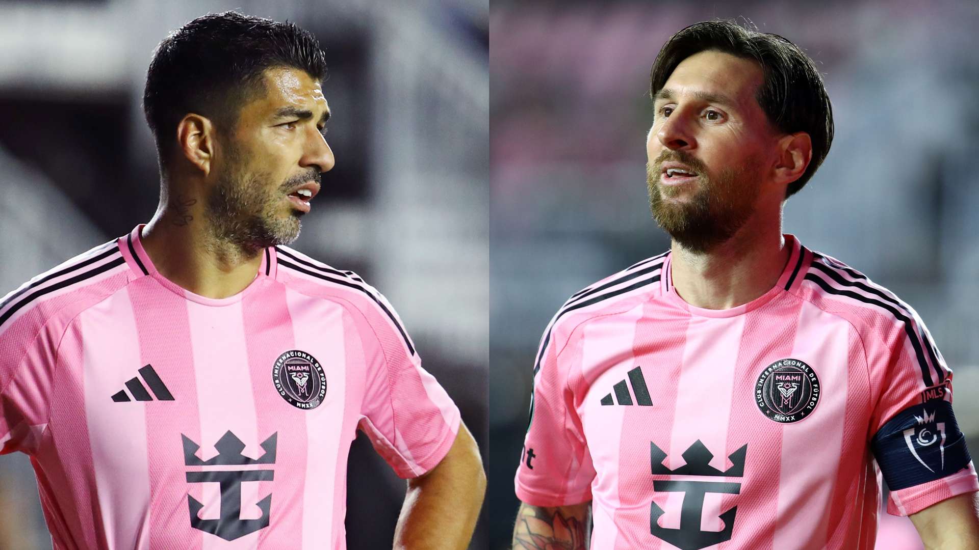 尽管国民对 尽管国民对